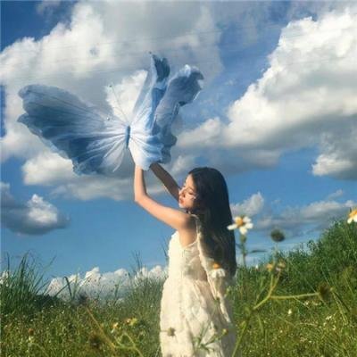 白鸟：奇迹